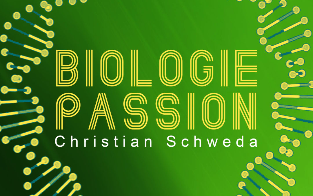 Folge 041 – Ablauf der Translation (Biologie) | Genetik Teil 13